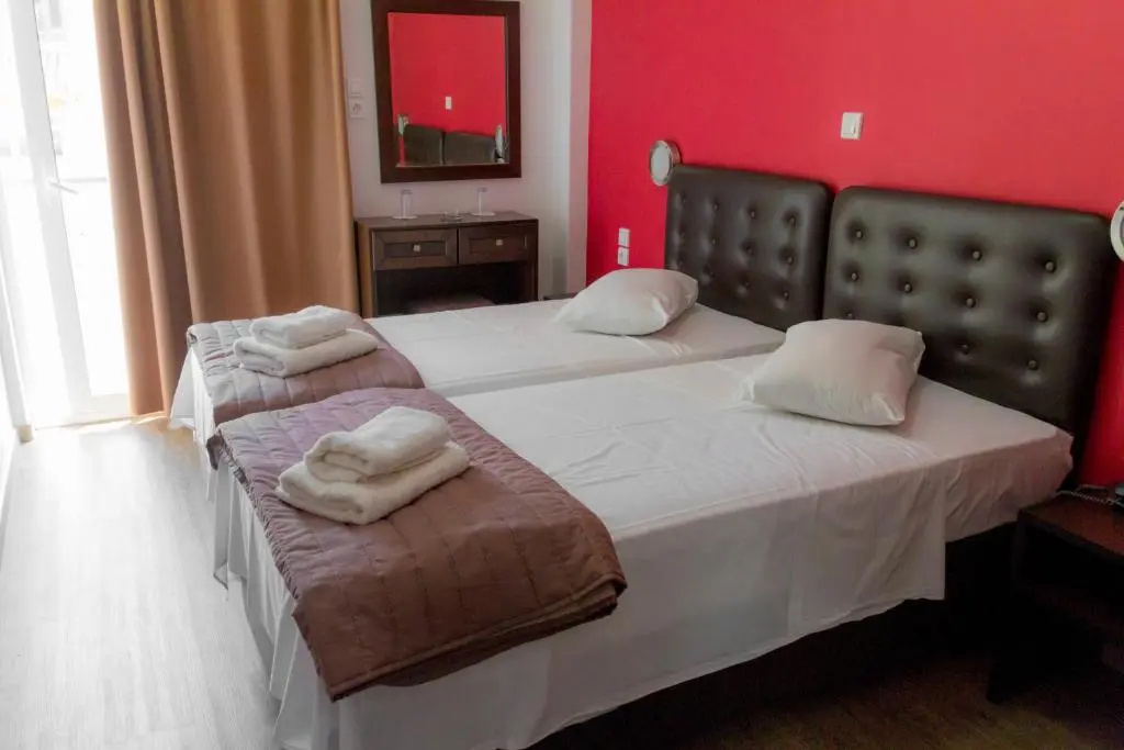 Standard Double room (twin beds)