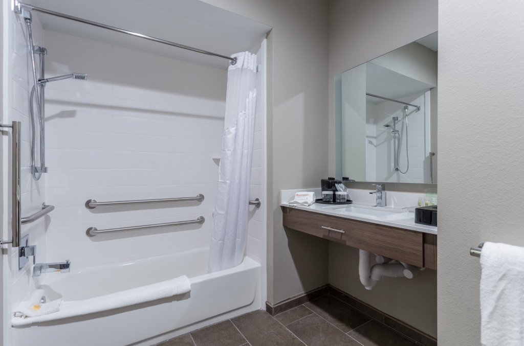 Holiday Inn San Marcos-Convention CTR Area by IHG - Général
