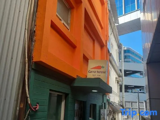 Carrot Hostel