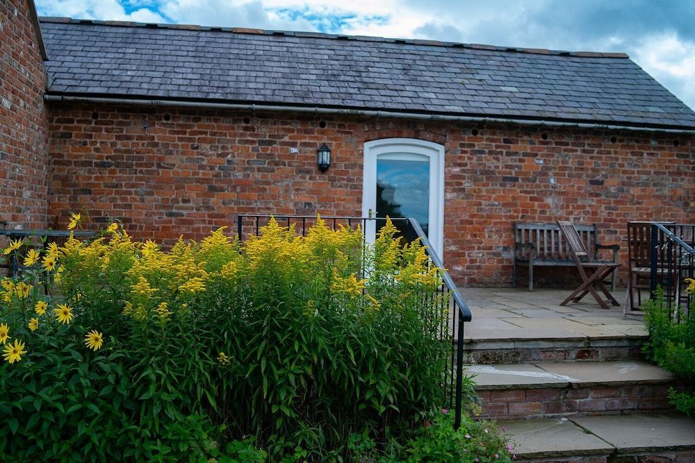 Image 13
