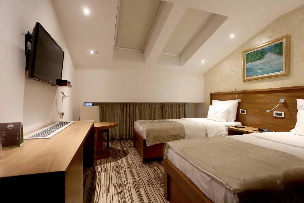 Standard Double room (twin beds)