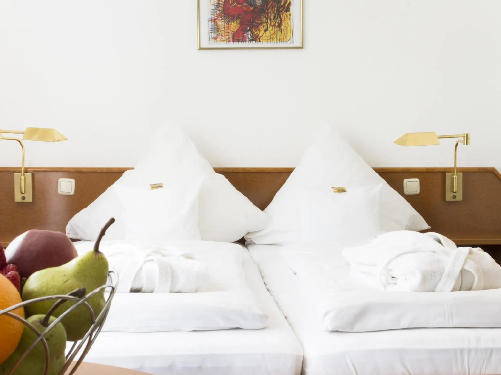 Comfort Double room (full double bed)