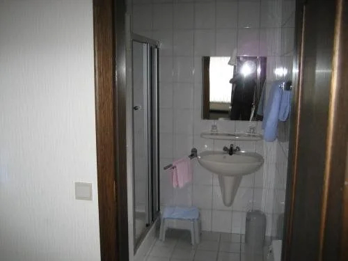 Hotel Saint-Hubert - фото 4