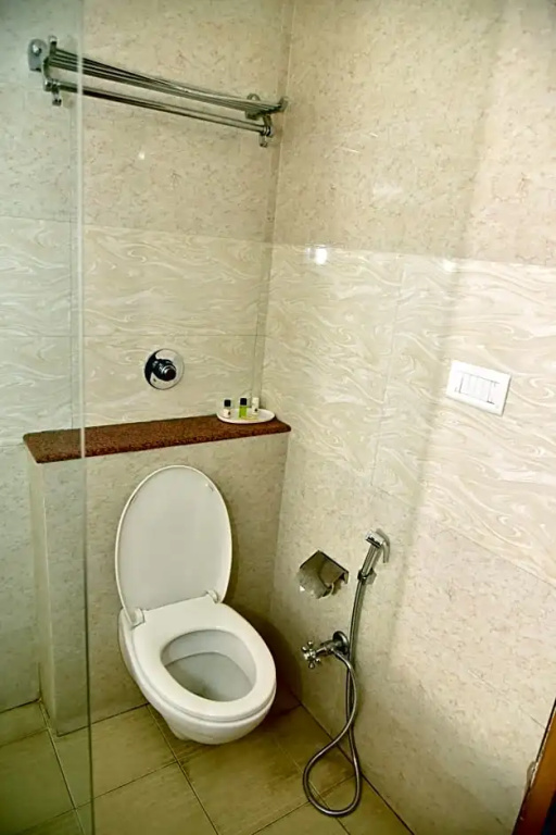 Hotel Padmini Palace - Chambres