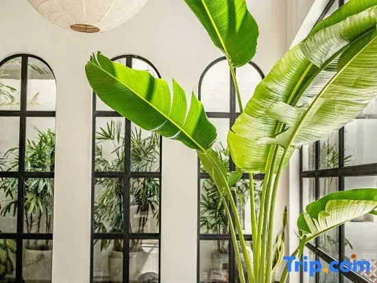 Lux Designed Villa 1 BR Kerobokan Seminyak