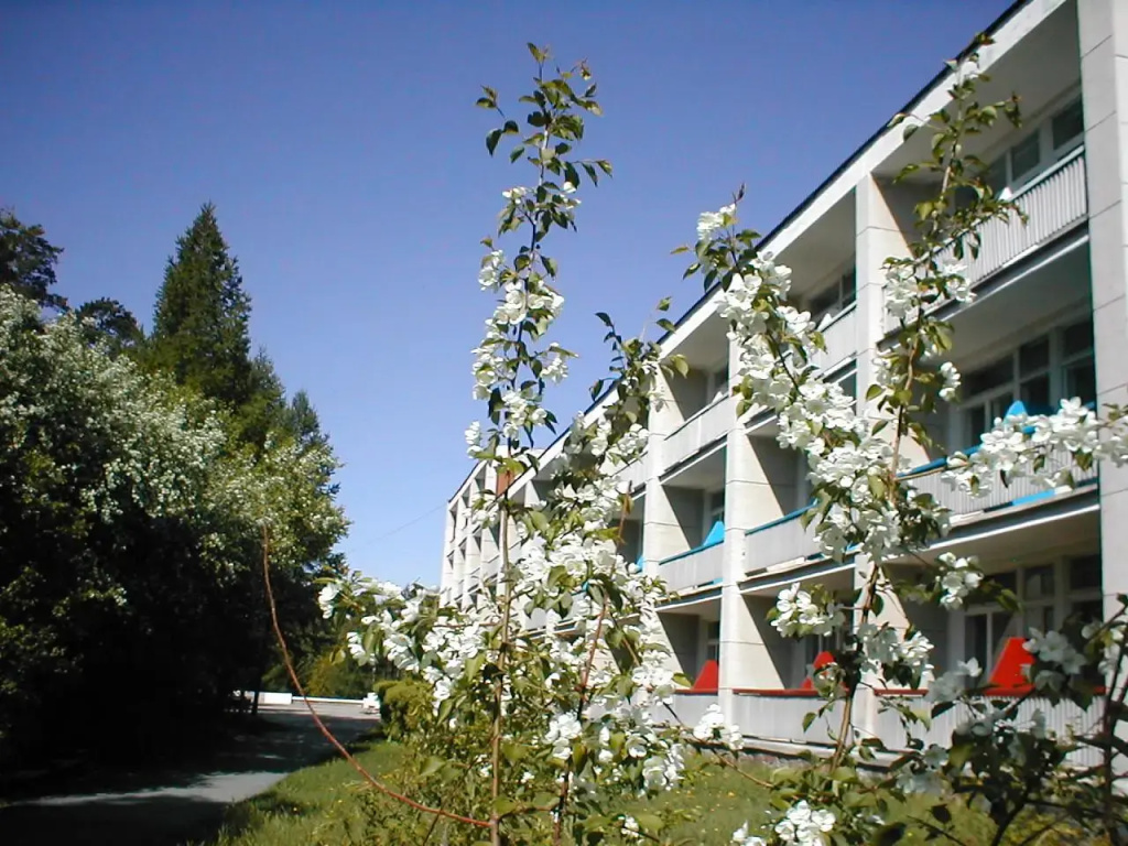 Hotel photo 16