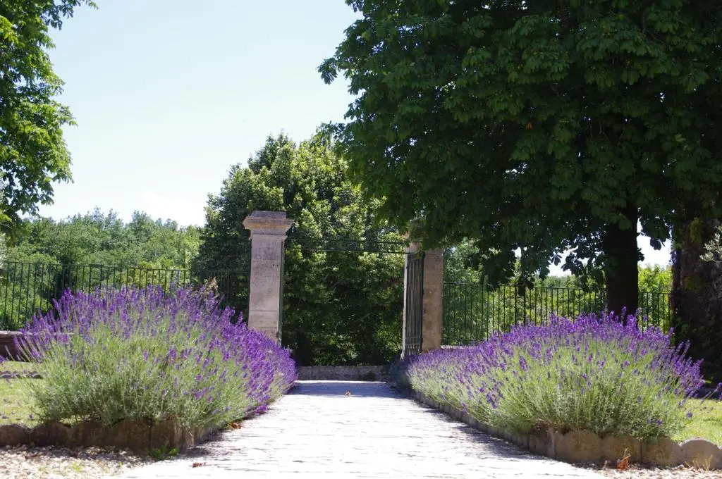 Logis Hôtels Domaine du Châtelard - Chambres
