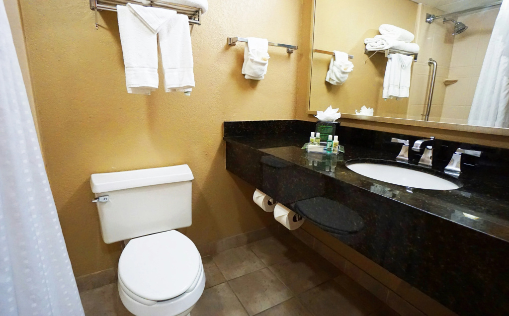 Holiday Inn Corpus Christi Downtown Marina by IHG - Général