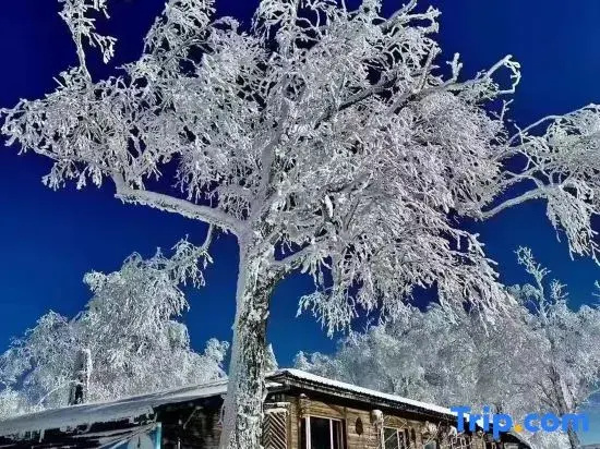 Liu family compound in Snow Valley