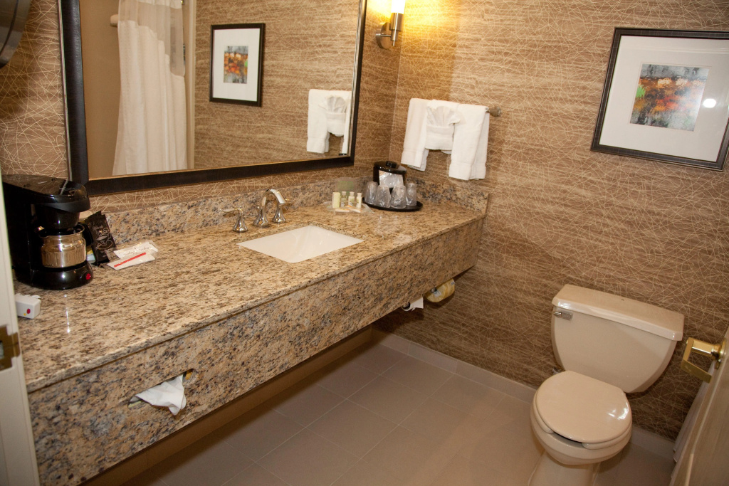 Holiday Inn Chicago Northwest-Elgin by IHG - Général