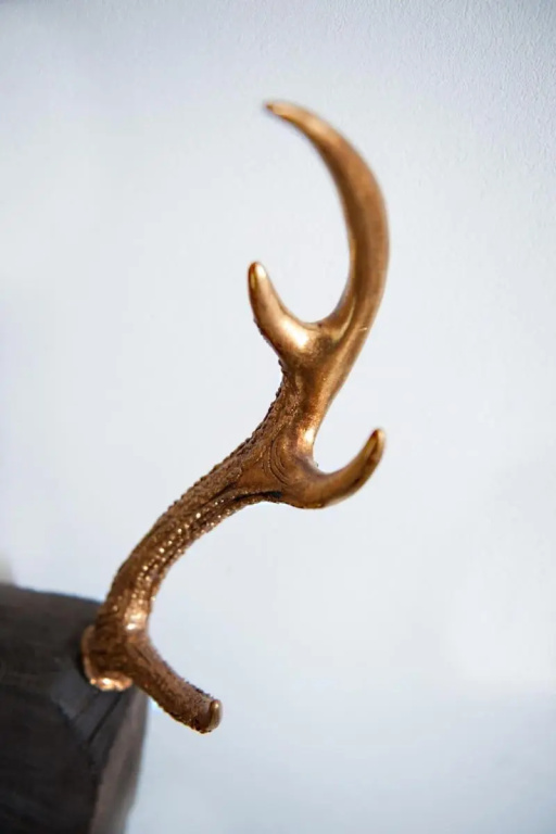 Hotel photo 38
