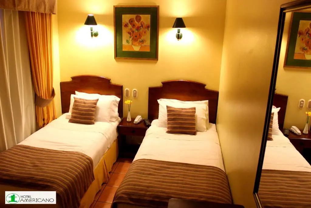 Standard Double room (twin beds)