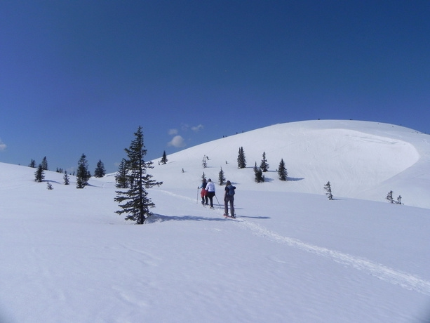 Wander-Vitalhotel Steirerhof - Général