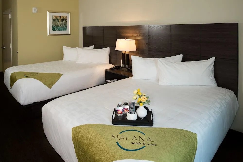 Malana Hotels & Suites - Général
