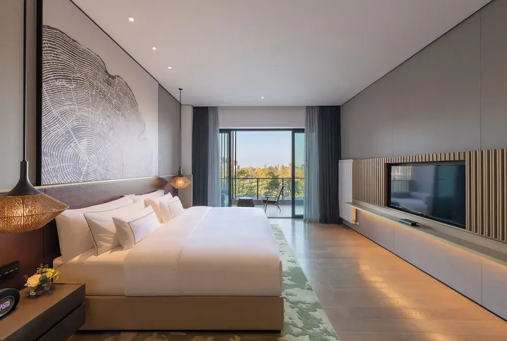 Standard room with balcony and with land view