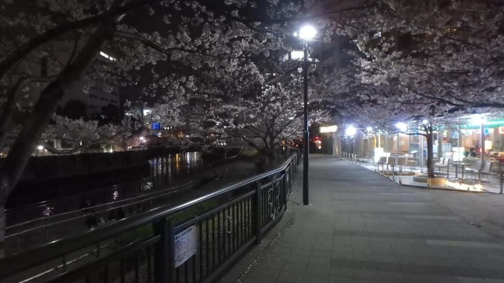 Ryokan Sansuiso 사진 23