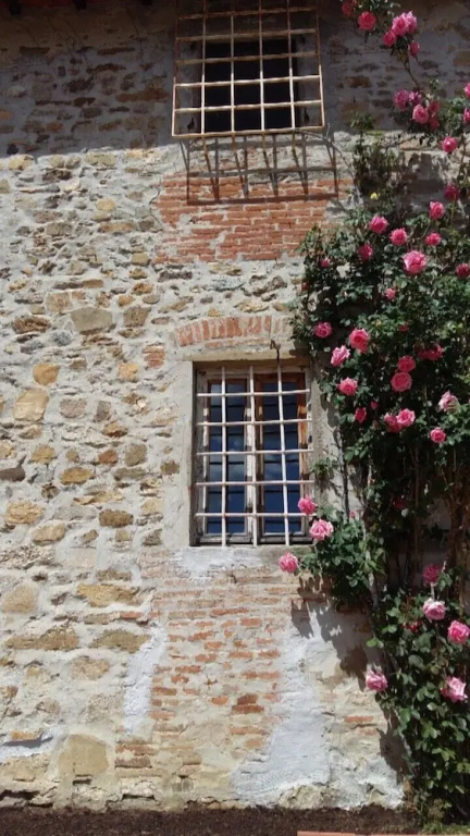Charming 4-bed Cottage 15 Minutes From Florence