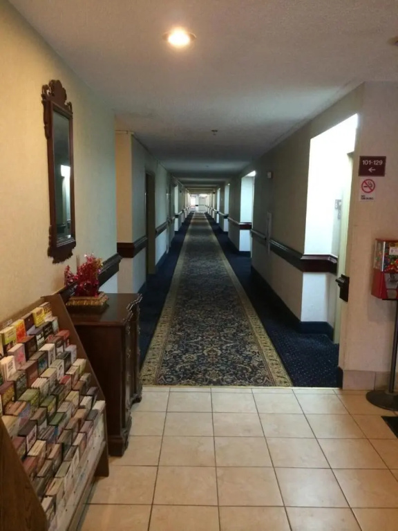 Hotel photo 11