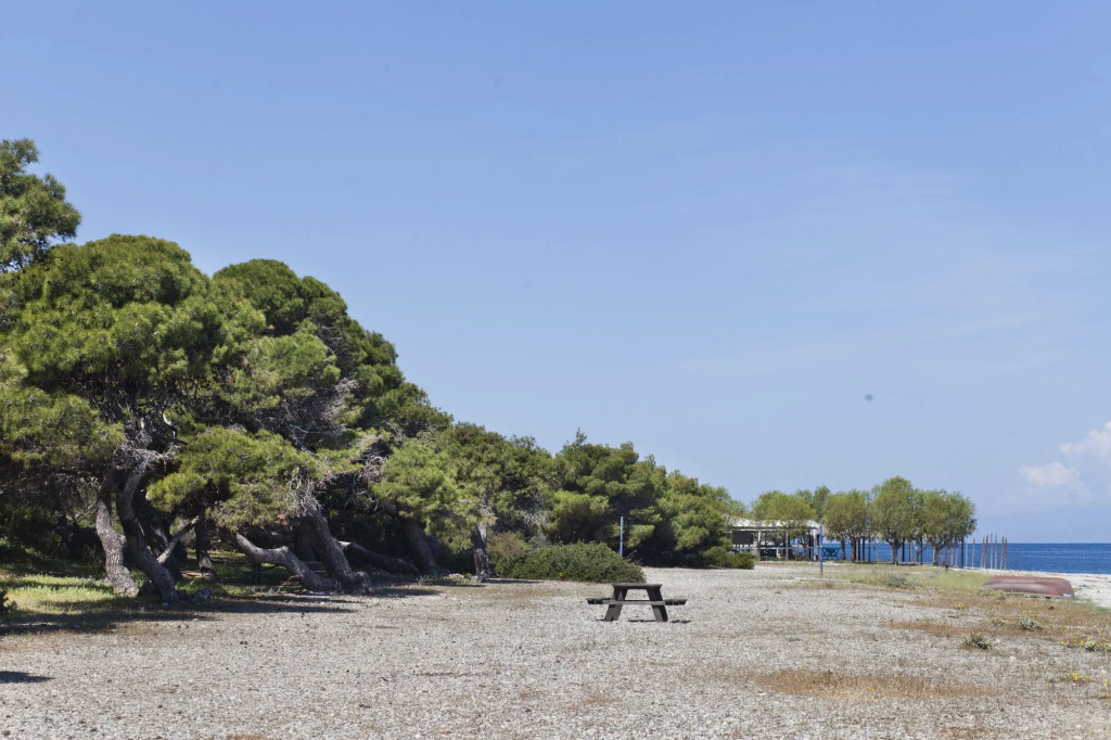 Beach & Waterfront