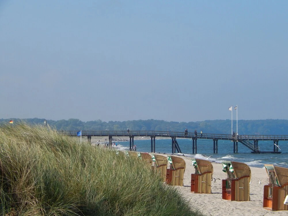 Beach & Waterfront