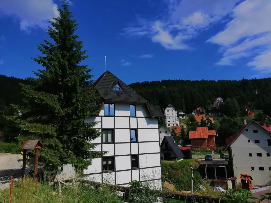 Отель Vila Irina Apartman 8, фото 10