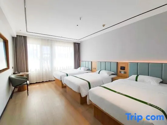 GreenTree Alliance SuZhou Industrial Park DLHET LianFeng Plaza Hotel - Chambres