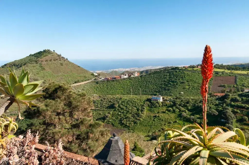 Villa Bandama
