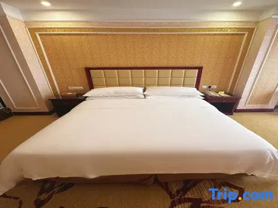 Vienna Hotel Shenzhen Songgang Yanchuan Road - Chambres
