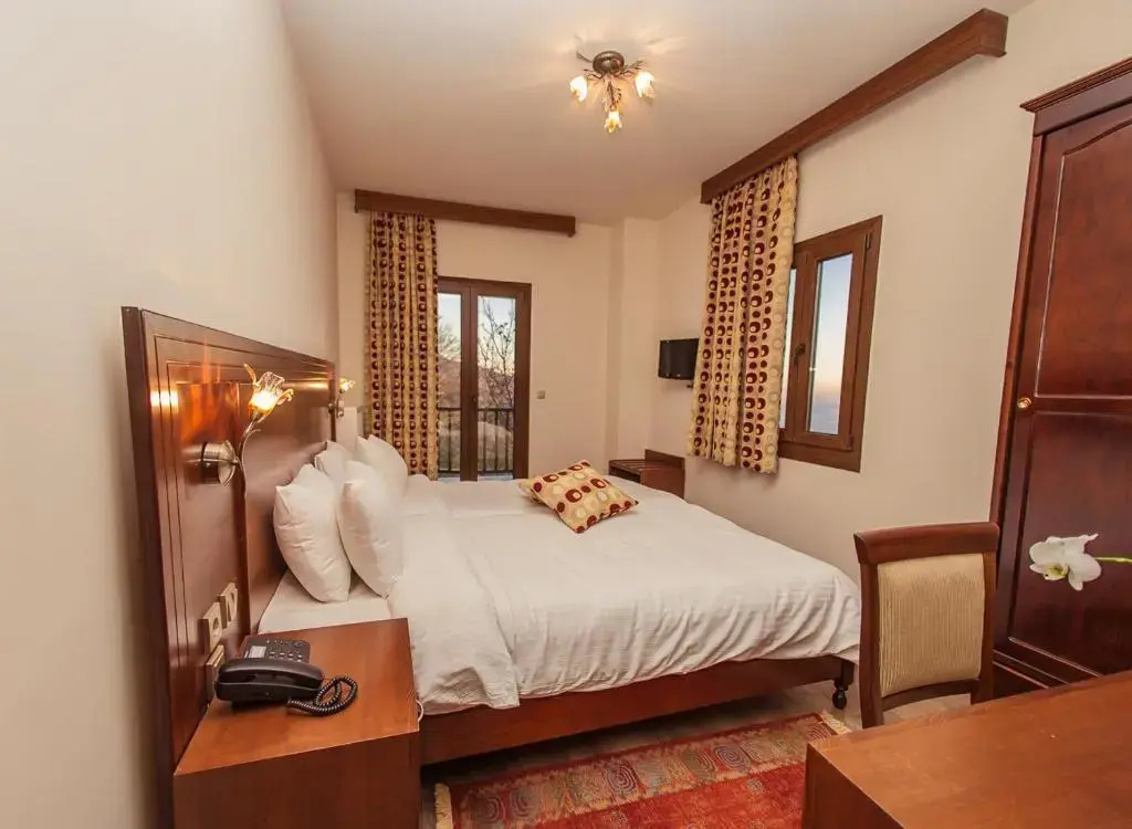 Standard Double room with mountain view (full double bed)