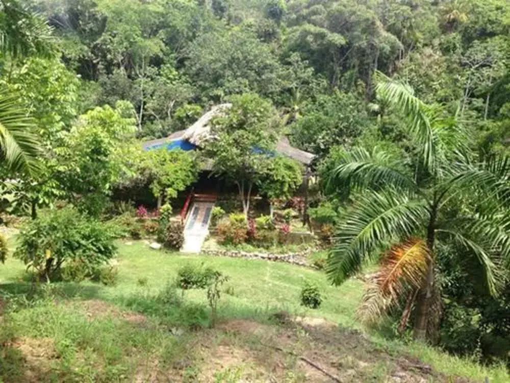Entre Bosques Tayrona