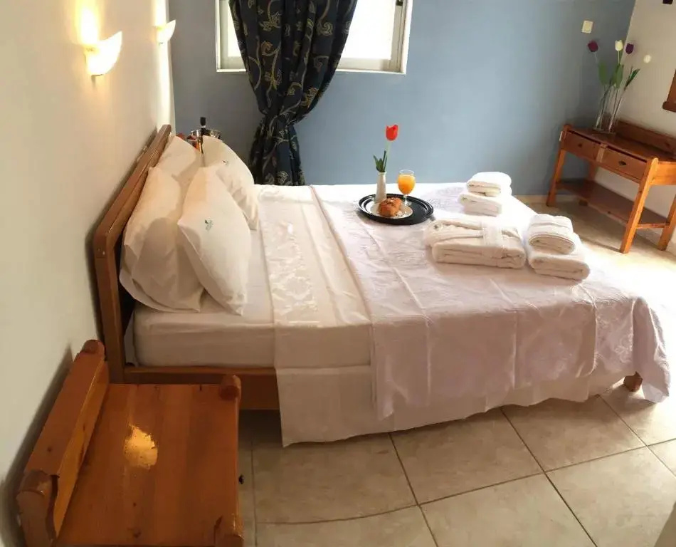 Standard Double room with garden view (full double bed)