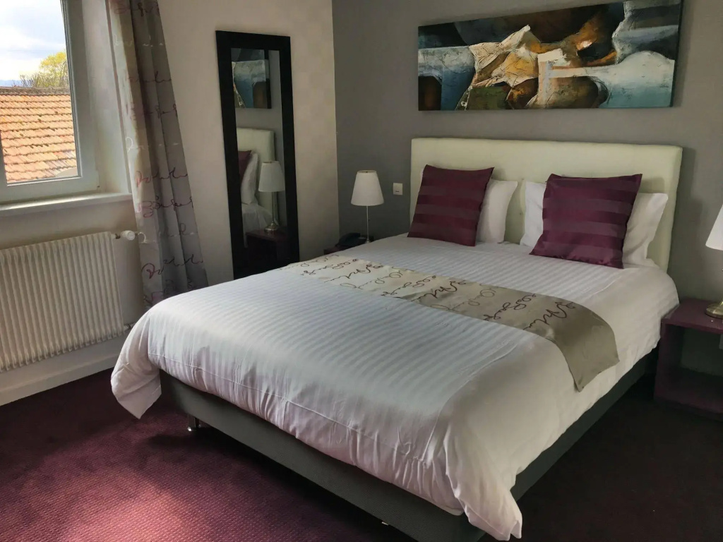 Brit Hotel et Spa COLMAR EAST - Général