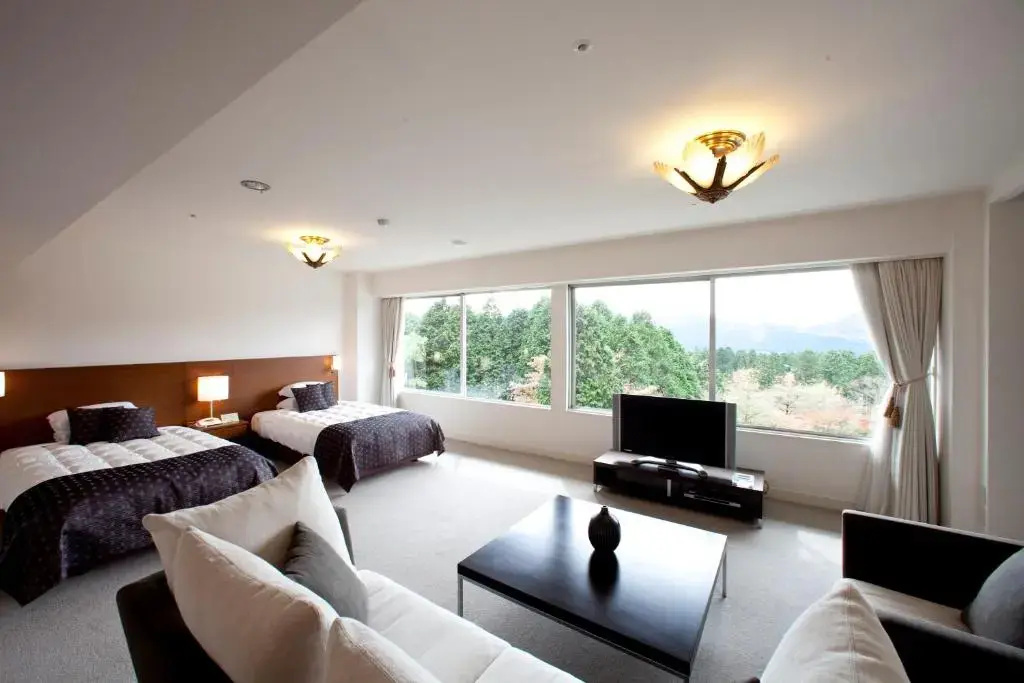 Superior Double room with garden view (twin beds)