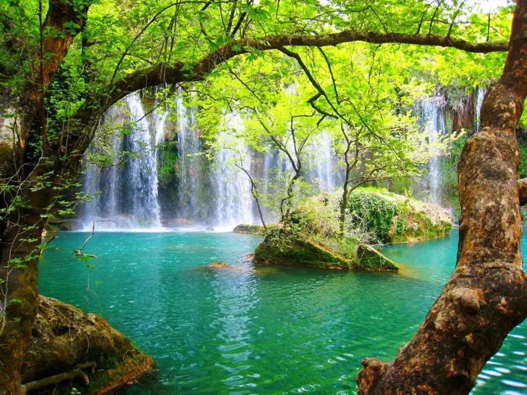 Отель Antalya belek dreamlife golf apart 1 ground floor 3 bedrooms pool view, фото 18