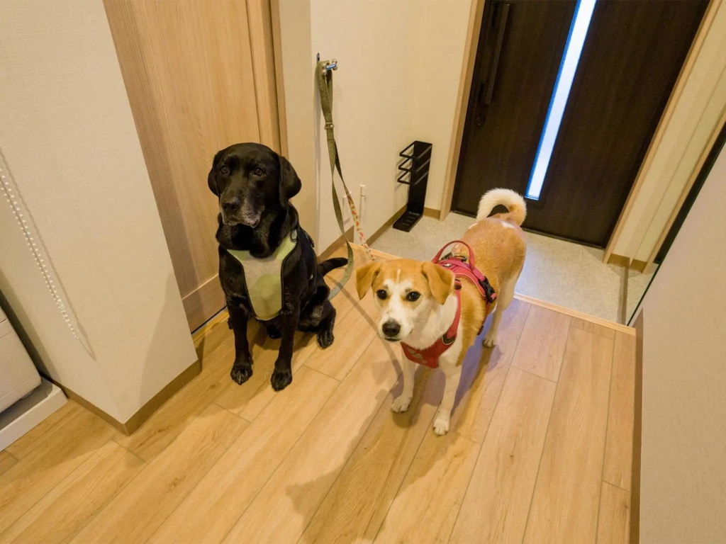 Rakuten STAY Nikko Hoden No pets allowed Capacity of 8 persons with Cypress bath