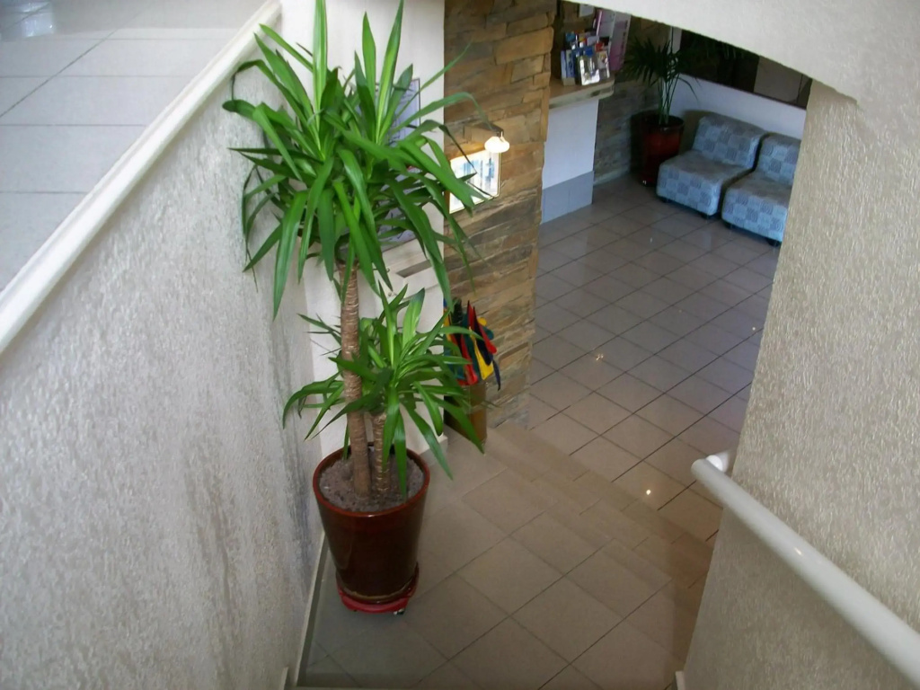 Hôtel Plage des Pins - Général