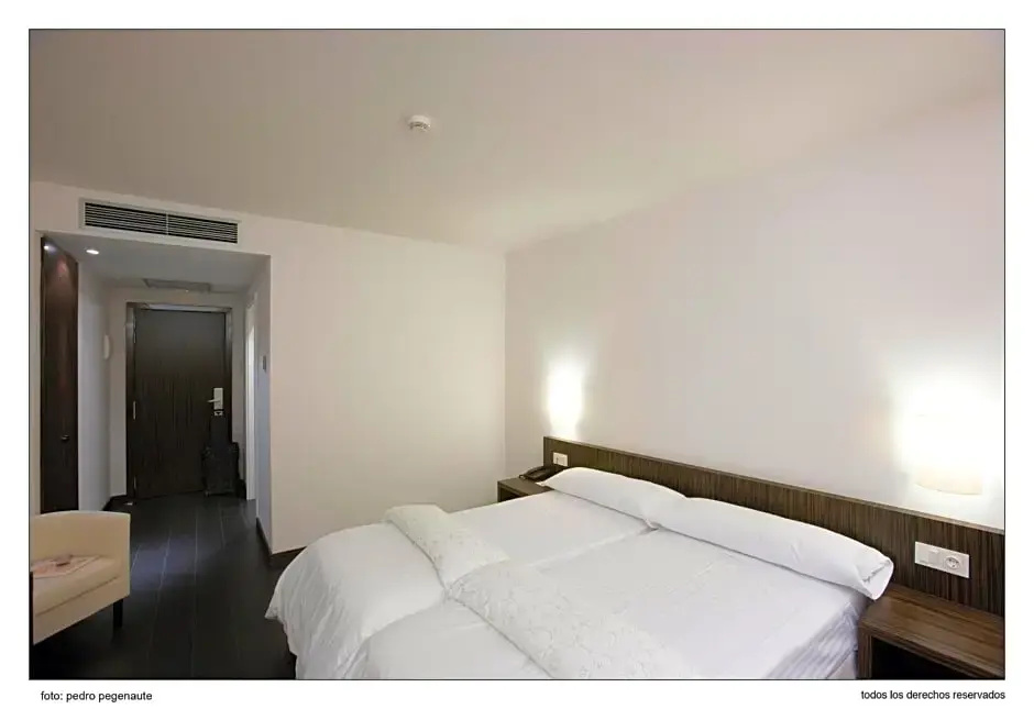 Standard Double room (twin beds)