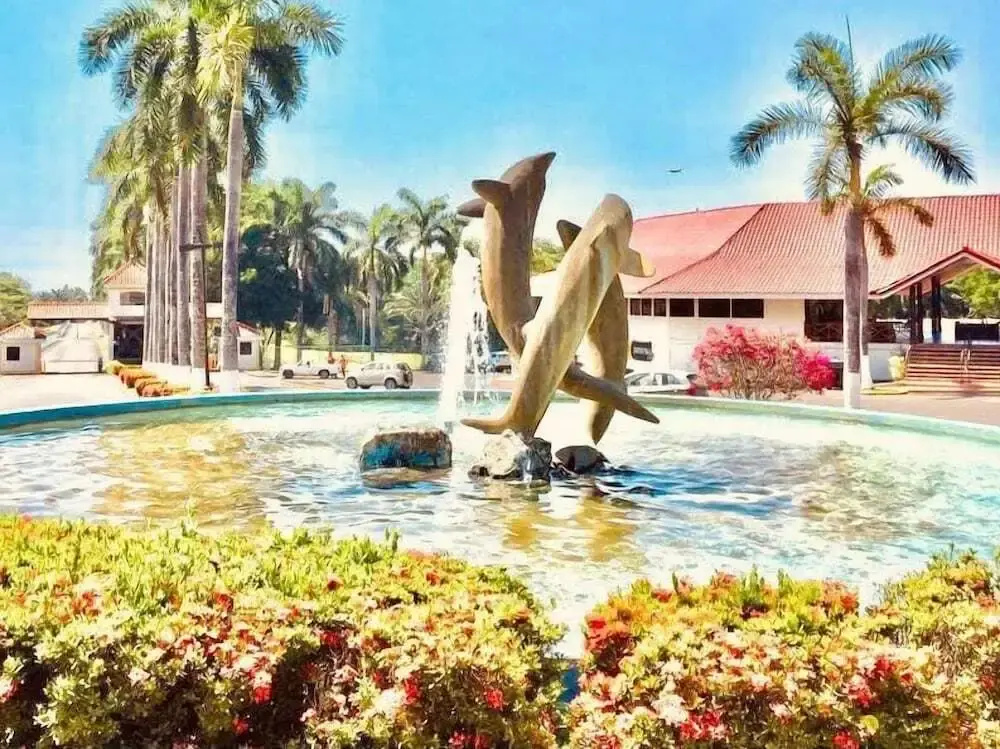 Los Delfines Golf & Country Club - фото 12