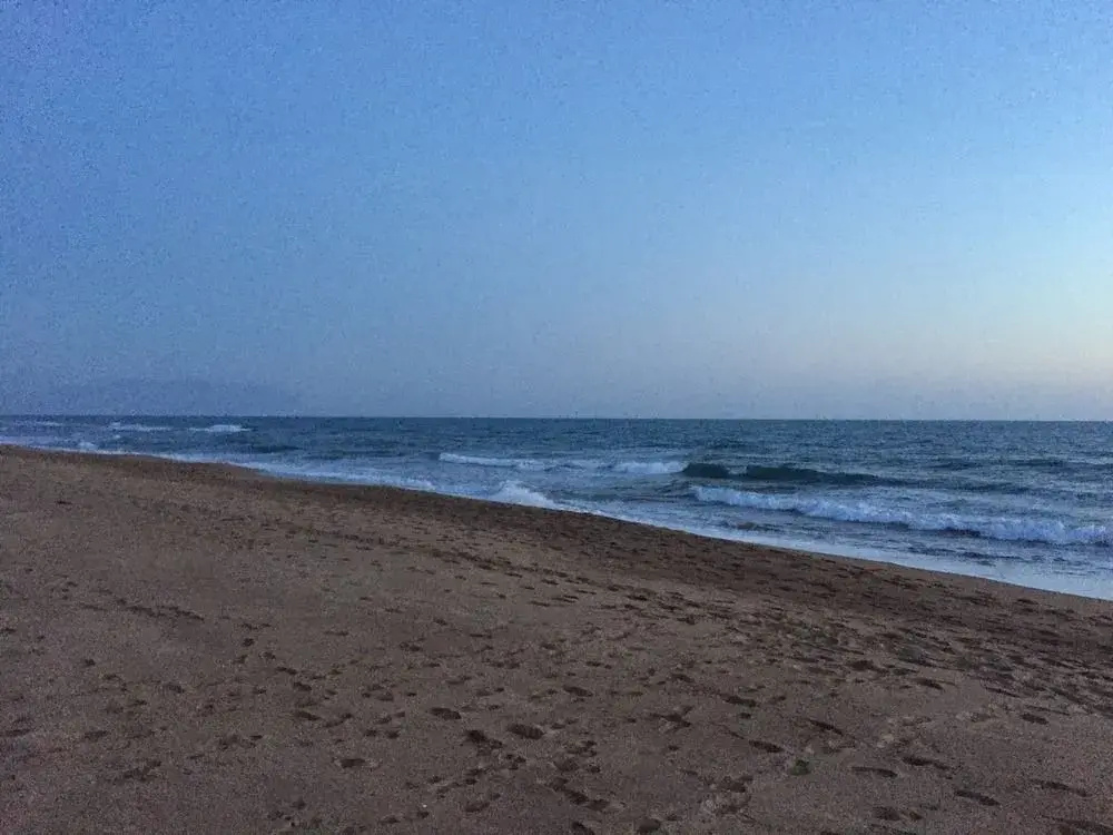 Beach & Waterfront
