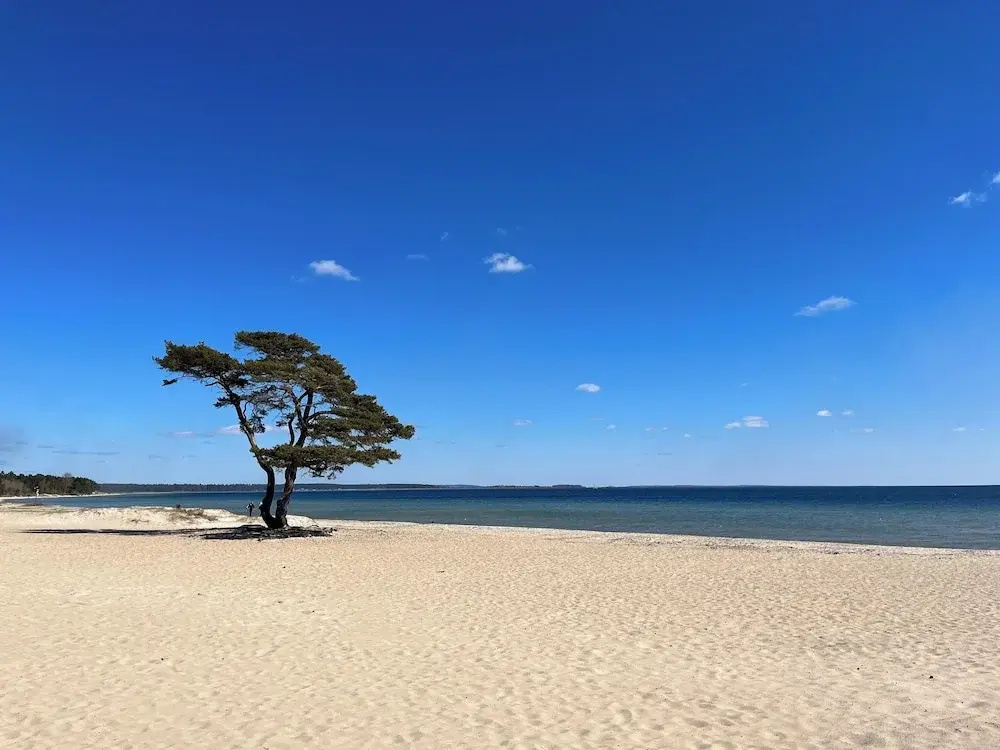 Beach & Waterfront