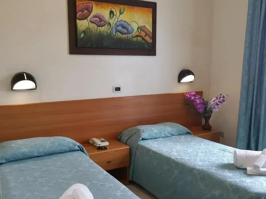 Standard Double room (twin beds)