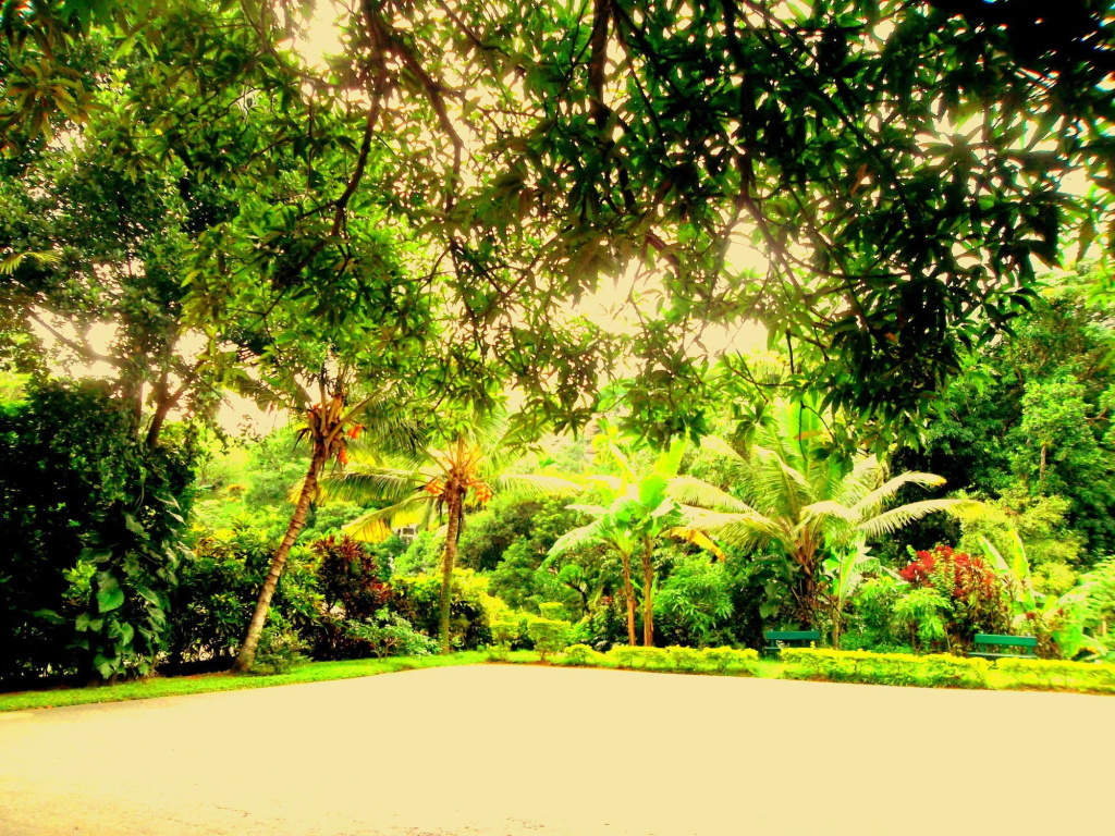 Paradise Inn - Général