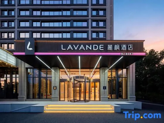 Lifeng Hotel (Qingdao North Railway Station Licun Night Market Branch)