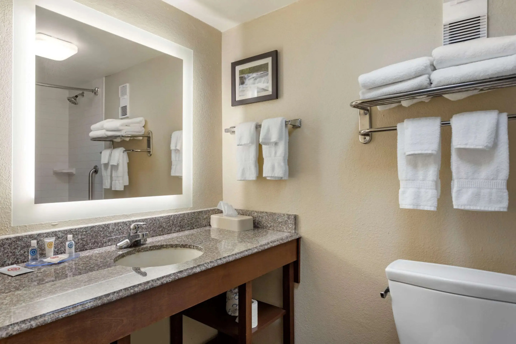 Comfort Inn & Suites Little Rock Airport - Général