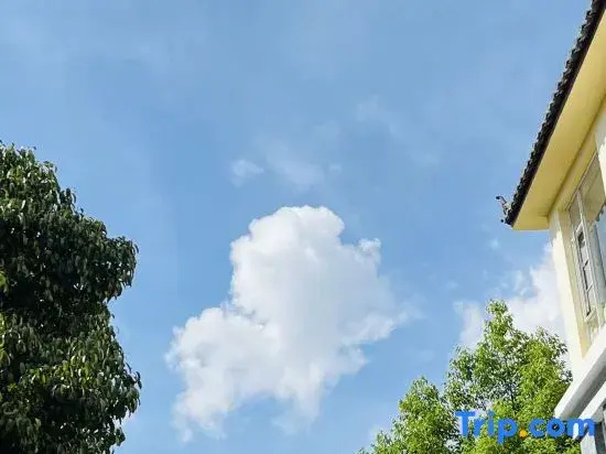 lijiang douzizai courtyard homestay