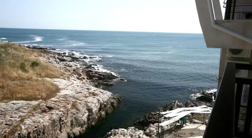 Fjord BB - Général
