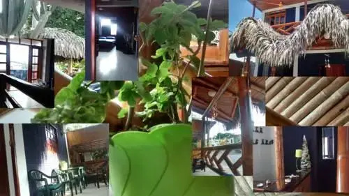 Hostel El Gran azul