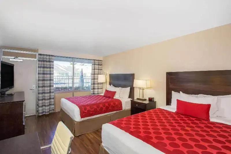 Standard Double room (twin beds)