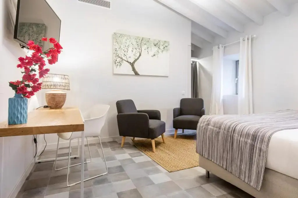 Standard Double room (full double bed)