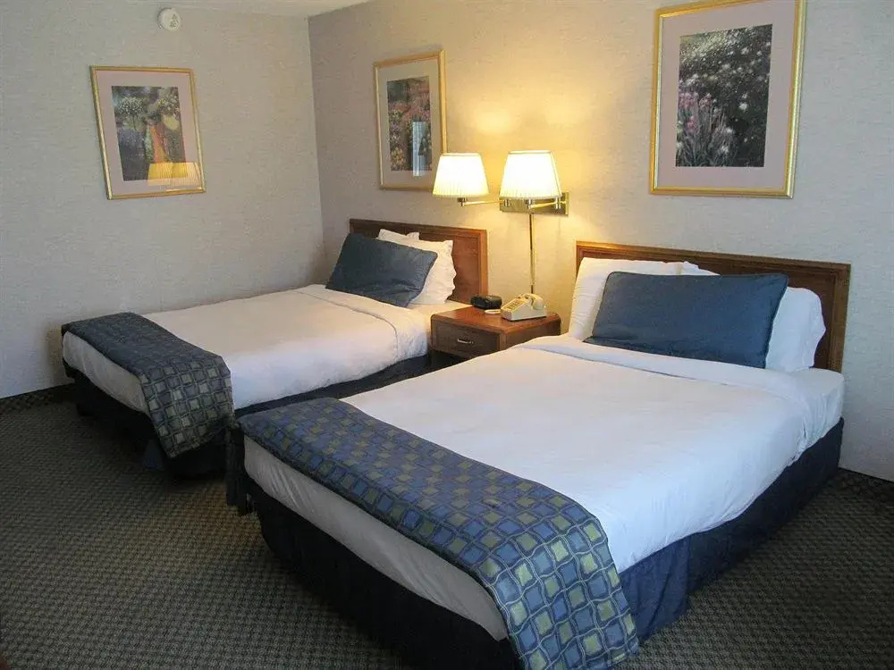 Fern Valley Hotel and Conference Center - Général